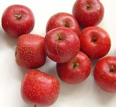 Polvere di frutta del cratego