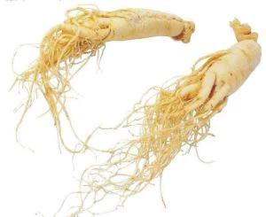 Estratto di ginseng americano