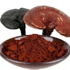 Polvere di spore di Ganoderma rotto