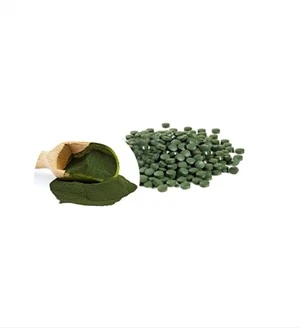 Clorella in polvere biologica