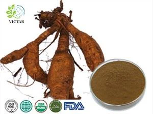 Estratto di Pueraria
