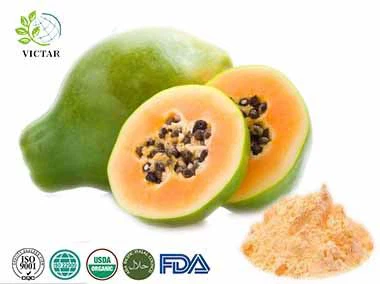 Papaya Enzyme Papaya Estratto Estratto di frutta di papaya Polvere in polvere di papaya verde Papaya Juice