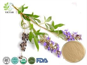 Estratto di agnocasto