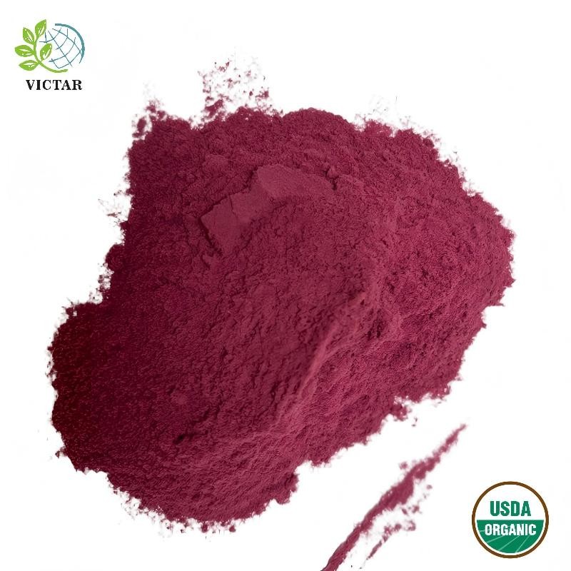 Polvere di bacche di Acai biologica