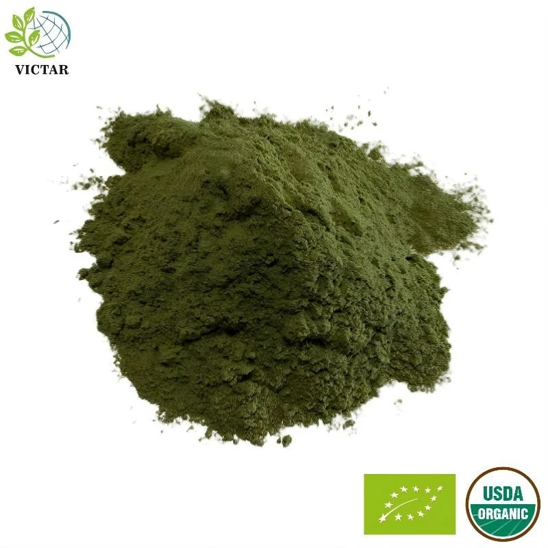 Polvere di erba d'avena biologica