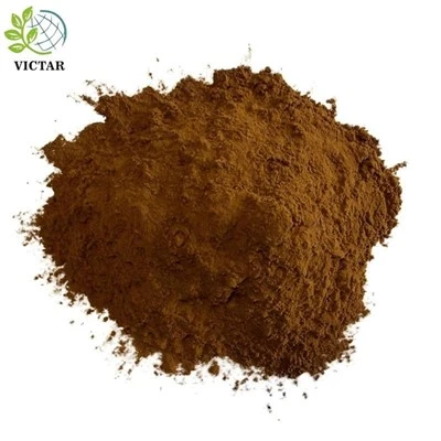 Polvere di funghi Chaga