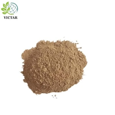 Polvere di angelica cinese