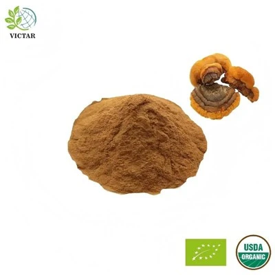 Estratto‌organico di Phellinus Linteus‌