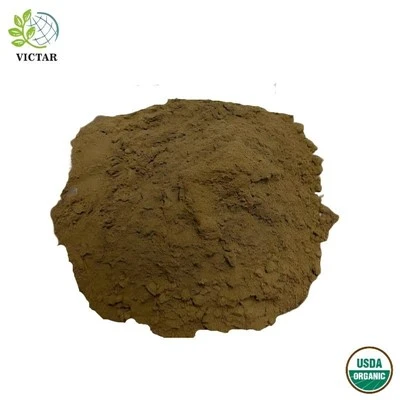 Polvere di foglie di Ginkgo Biloba biologica
